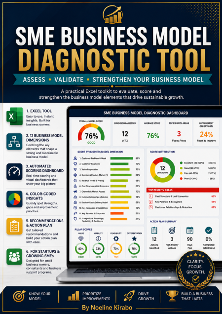 SME Business Model Diagnostic Tool